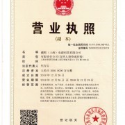 上海技術(shù)咨詢 賦能企業(yè)創(chuàng)新發(fā)展的智慧引擎